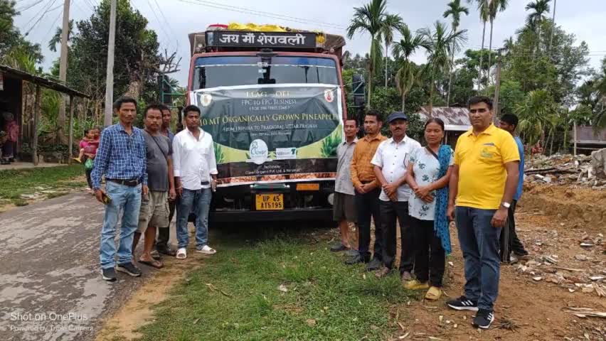 Unakoti Organic #FPC #Tripura under #MOVCDNER supplied 10 MT of Organic Pineapples to Pandeyshwar Nath Dham #FPC, #Allahabad formed under 10,000 FPC. Procurement was facilitated by Clover Organics Pvt Ltd & neramac.