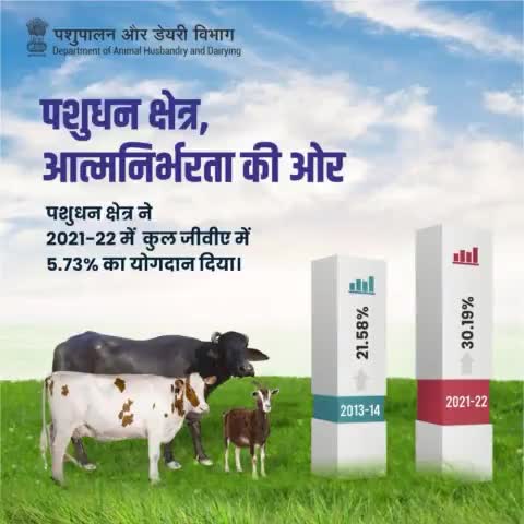 पशुधन क्षेत्र, आत्मनिर्भरता की ओर एक कदम आगे।
#AatmnirbharBharat #aatmnirbharahd #ahelp #animalhealth #livestock #animalhusbandry #Pashupalan #InclusiveDevelopment #AspirationalDistricts