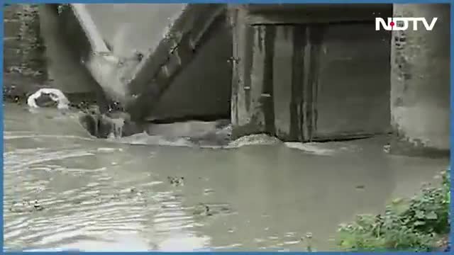 अमौर: फ्लूड सिवान बिहार #flood