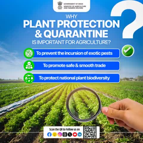 #PlantProtection & #Quarantine include promoting Integrated #PestManagement, ensuring the availability of safe and quality pesticides, streamlining quarantine measures to introduce high-yield crop