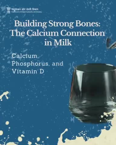 The Essential Trio: Calcium, Phosphorus, and Vitamin D in Milk for Strong Bones.
#StrongBones #MilkBenefits #Calcium #Phosphorus #VitaminD
#Nutrition