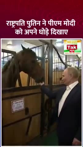 राष्ट्रपति पुतिन ने पीएम मोदी को अपने घोड़े दिखाए 

#PMModi #VladimirPutin #India_Russia_Summit #Russia #India