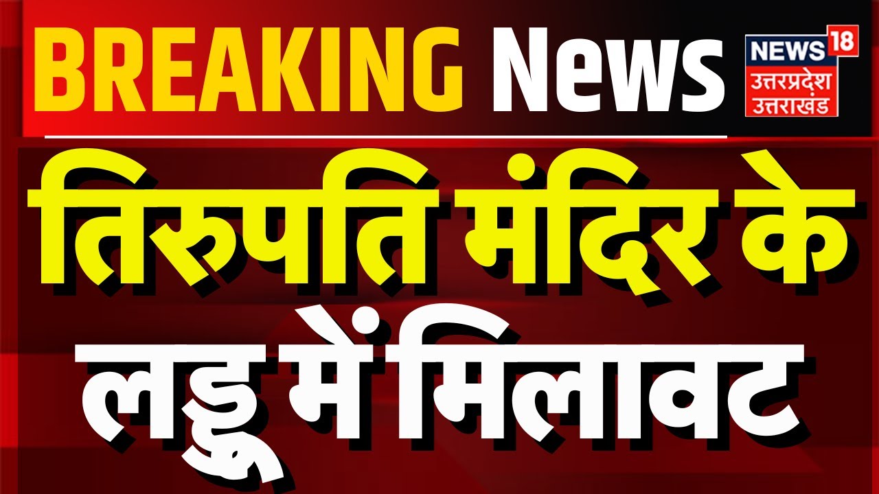 Breaking News: तिरुपति मंदिर के लड्डू में मिलावट | CM Chandrababu | Tirupati Balaji | Hindi News