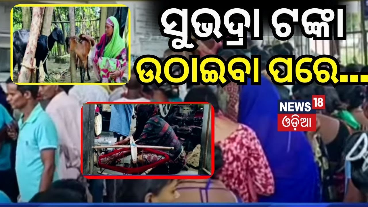 ଟଙ୍କା ପାଉ ପାଉ ହିତାଧିକାରୀ ... subhadra yojana status check | CM Mohan Majhi | pm modi | Odia News