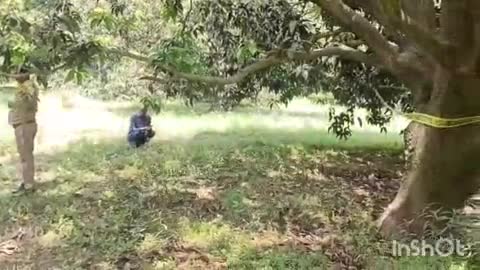 कोतवाली क्षेत्र के ग्राम मांकड़ी स्थित आम के बाग में संदिग्ध परिस्थितियों में ग्रामीण का शव फांसी के फंदे पर लटका मिला