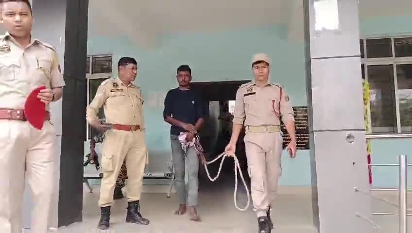 ঢেকিয়াজুলি ভাগ: এটা গৰু চোৰক ঢেকীয়াজুলিৰ পৰা গ্ৰেপ্তাৰ কৰি জে’ল-হাজোতলৈ প্ৰেৰণ কৰে আৰক্ষীয়ে
