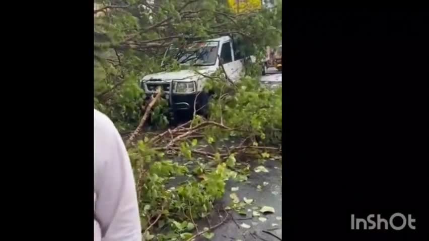 తిరుపతిలో గాలి వానతో నేలకొరిగిన వృక్షాల వల్ల అపాయం పొంచి ఉందని, అధికారులు చర్యలు తీసుకోవాలని స్థానికుల వినతి  #localissue