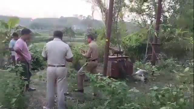 অমরপুর: রামপাড়ায় মাটিতে রাখা বিদ্যুতের ট্রান্সমিটার; ঘটছে বিভিন্ন বিপদ, সমস্যায় স্থানীয়রা #jansamasya
