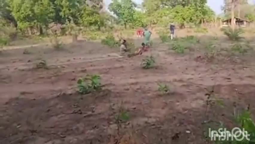 प्रेमनगर: विकासखंड प्रेमनगर के विभिन्न ग्राम पंचायतों में हरा सोना संग्रहित कर आत्मनिर्भरता की ओर बढ़ रहे हैं ग्रामीण