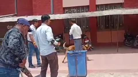 बारां: जिला प्रशासन को धमकी भरा मेल मिलने पर कलेक्ट्रेट परिसर को कराया गया खाली, डॉग स्क्वायड टीम मौके पर मौजूद