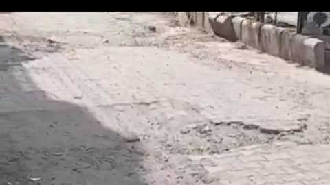 अम्बाला: अंबाला कैंट में सड़क क्षतिग्रस्त होने से शहरवासी परेशान #jamsamsya