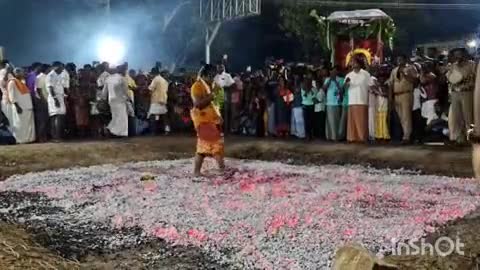 செந்துறை: நெய்வனத்தில் வெகு விமரிசையாக நடைப்பெற்ற திரெளபதி அம்மன் ஆலய தீமிதி திருவிழா