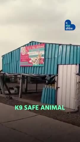 K9 સેફ એનિમલ શેલ્ટર હોમ - જામનગર શહેરનું પ્રથમ પ્રાણી આશ્રયસ્થાન | Shelter Home| Jamnagar| Animal lover