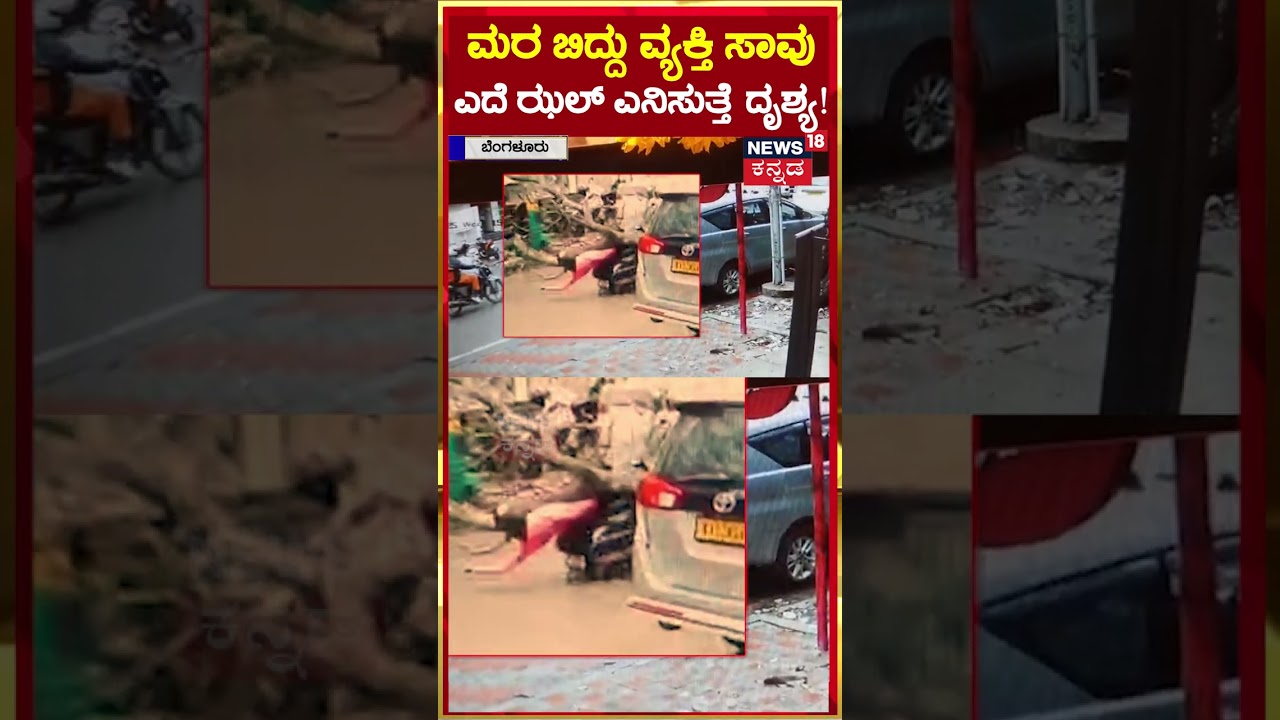 Bengaluru | ಮರ ಬಿದ್ದು ವ್ಯಕ್ತಿ ಸಾವು ಎದೆ ಝಲ್ ಎನಿಸುತ್ತೆ ದೃಶ್ಯ! | N18S