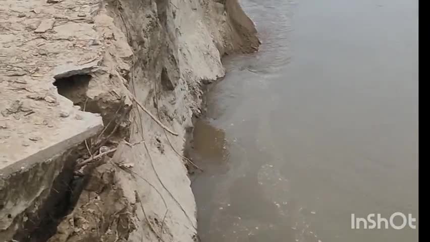 মানকাচৰ: ফকিৰগঞ্জত ক্ৰমাৎ বৃদ্ধি পাইছে বৰলুইৰ ভয়ংকৰ গৰাখহনীয়া, সমস্যা সমাধানৰ দাবী ৰাইজৰ #jansamasya