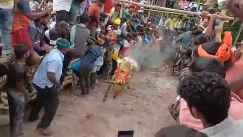 அணைக்கட்டு: அல்லேரி மலையில் ஸ்ரீ செல்லியம்மன் திருவிழாவை முன்னிட்டு 11ஆம் ஆண்டு எருது விடும் திருவிழா வெகு விமர்சையாக நடைபெற்றது