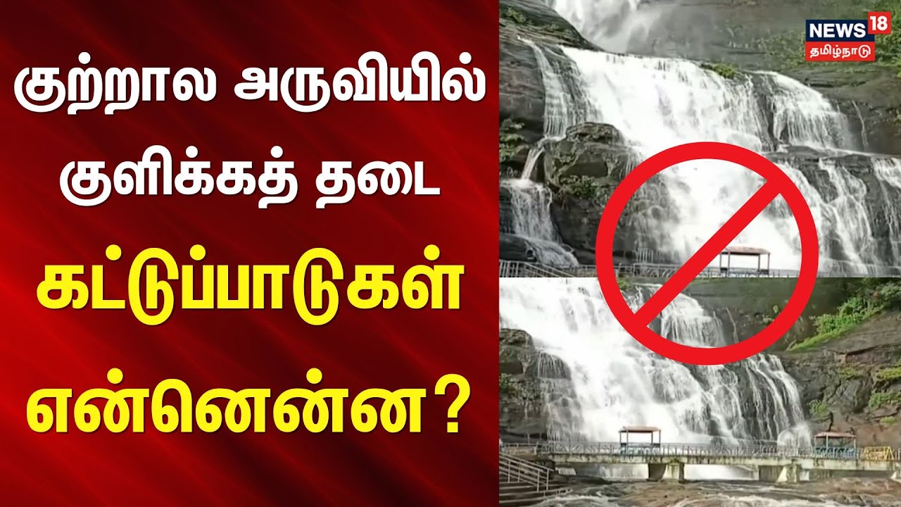 Courtallam | குற்றால அருவியில் குளிக்கத் தடை - கட்டுப்பாடுகள் என்னென்ன? | Water Fall | Tenkasi