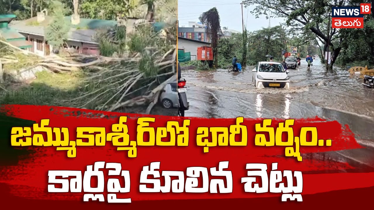 Several cars were damaged after trees were uprooted due to a severe storm in Jammu Kashmir | N18V