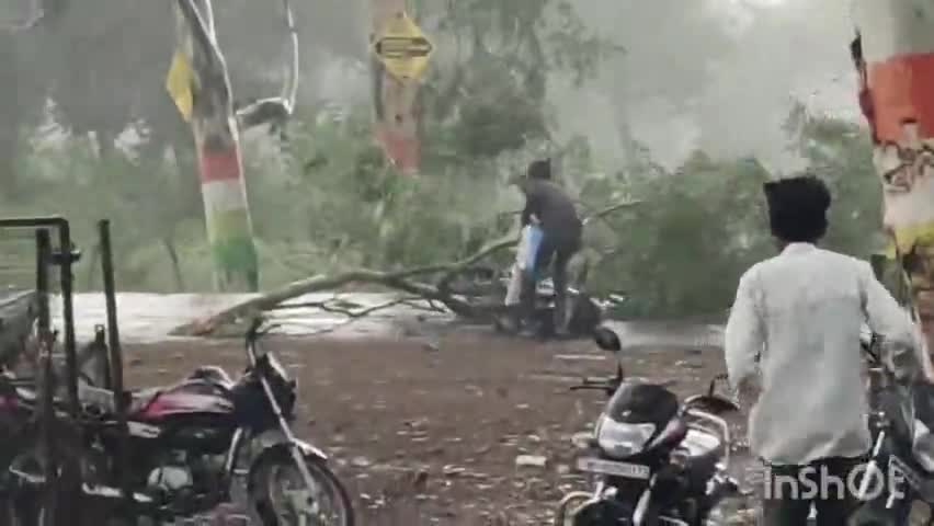 सिरोंज: नगर में आंधी-तूफान के साथ हुई तेज बारिश, पेड़ गिरने से बाइक सवार दो युवक हुए घायल