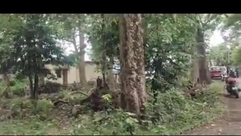 ऋषिकेश: गोला बीट इलाके में बाघ ने व्यक्ति पर हमला कर उतारा मौत के घाट, फॉरेस्ट और पुलिस विभाग की टीम जांच में जुटी