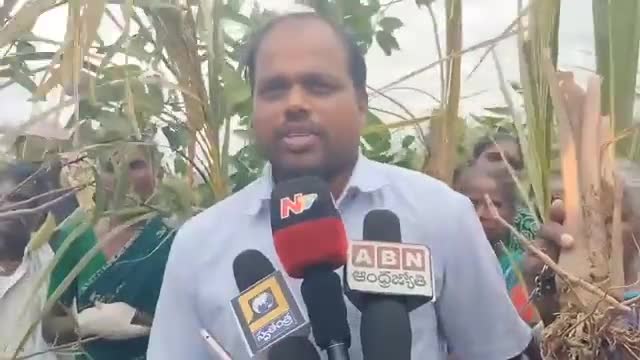 గంగాధర నెల్లూరు: G.D నెల్లూరులో తన పొలంలో అక్రమంగా చెట్ల నరికివేతపై మండల, జిల్లా అధికారులు స్పందించి న్యాయం చేయాలి: వీర రాఘవులు