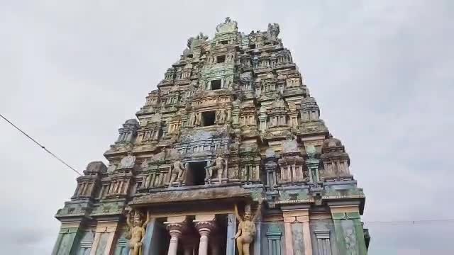 வேதாரண்யம்: கோடியக்காடு அமிர்தகடேஸ்வரர் ஆலய வைகாசி விசாகத் திருவிழாவை முன்னிட்டு கொடி ஏற்றும் நிகழ்ச்சி நடைபெற்றது