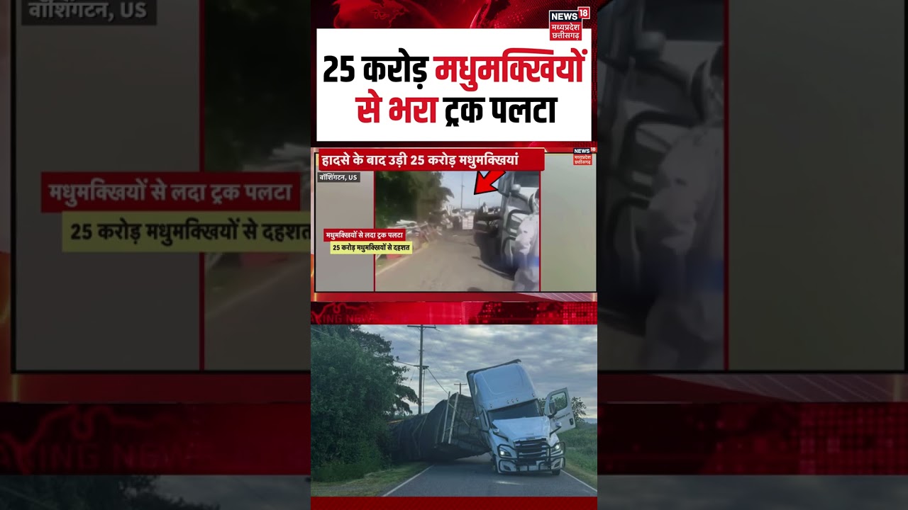 US में 25 करोड़ मधुमक्खियों से भरा ट्रक पलटा । Washington | Viral News | Viral Shorts | US | N18S