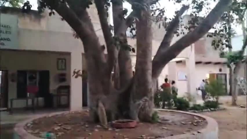 महेंद्रगढ़: शहर के एक मोहल्ले से एक ही दिन 2 लड़कियां अपने-अपने घर से हुई लापता, परिजनों ने करवाया मामला दर्ज