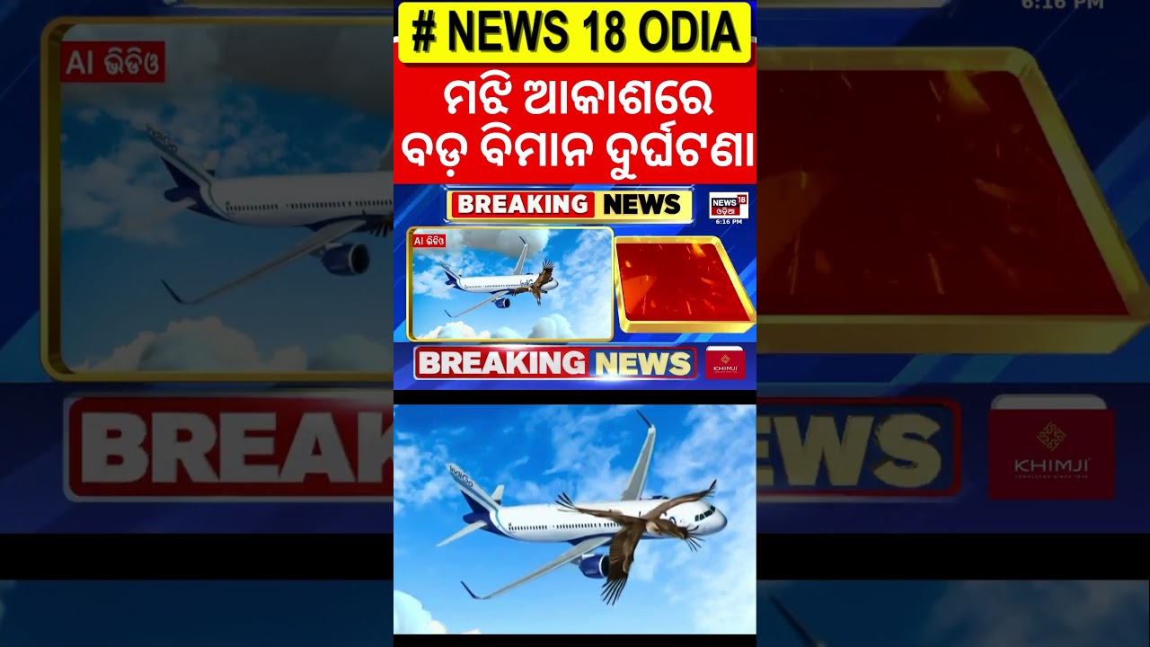 ମଝି ଆକାଶରେ ଏମିତି ହେଲା, ସବୁ ଡରିଲେ | IndiGo Flight Suffers Bird Hit At Ranchi | Bird Flight Accident