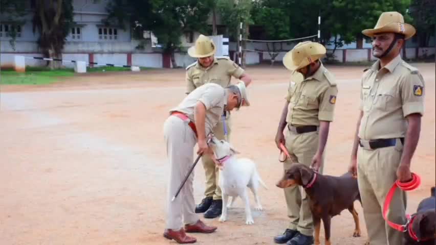 ಕೊಪ್ಪಳ: ನಗರದಲ್ಲಿ ನಡೆದ ಪೊಲೀಸ್ ಕವಾಯಿತು, ಎಸ್‌ಪಿ ಡಾ.ರಾಮ್ ಎಲ್ ಅರಸಿದ್ದಿ ಉಪಸ್ಥಿತಿ