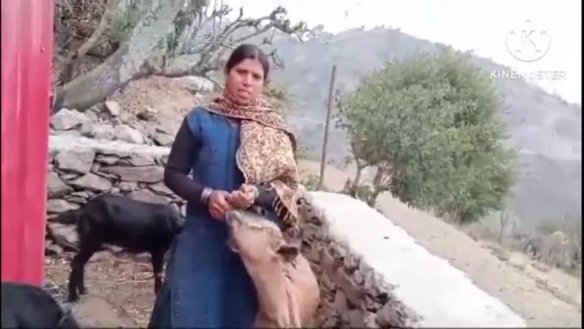 टिहरी: ग्रामोत्थान परियोजना के तहत बनाए गए 26 क्लस्टर, महिलाओं की आर्थिकी हो रही है मजबूत: परियोजना प्रबंधक रीप