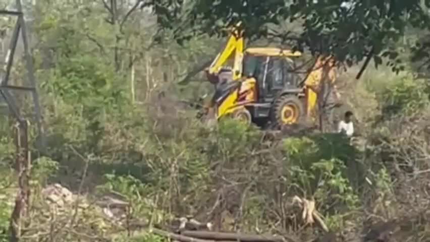 अम्ब: भट्ठीयां वाला में बिना विभाग की अनुमति के हरे पेड़ों का कटान कर पहाड़ियों को किया जा रहा समतल