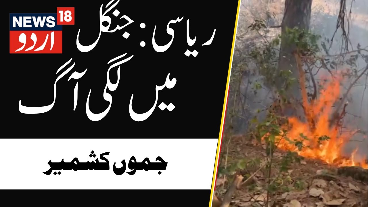 Reasi (Jammu Kashmir): Fire Broke Out At Forest Area | Breaking News | News18 Urdu