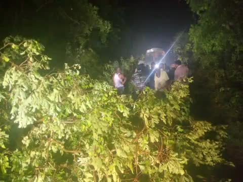 అశ్వాపురం: మండికుంట పెద్ద కాలువ మూలమలుపు వద్ద చెట్టు కూలిపోవడంతో ట్రాఫిక్‌కు అంతరాయం