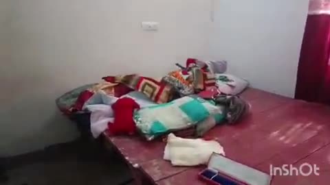 मोहिउद्दीननगर: हेमनपुर में चोरों ने एक बंद घर से ₹5 लाख के जेवरात चुराए, पुलिस जांच में जुटी