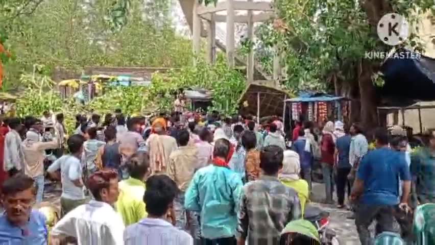 छबड़ा: हरनावदाशाहजी  कस्बे के विवेकानंद सर्किल के पास पीपल की शाखा गिरने से ओमिनी गाड़ी हुई क्षतिग्रस्त
