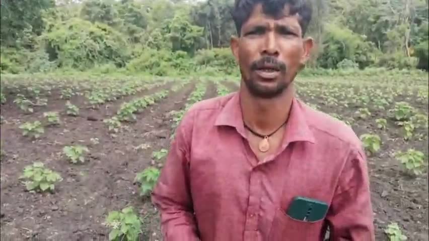ಹೆಗ್ಗಡದೇವನಕೋಟೆ: ನಾಗರಹೊಳೆ ಅಭಯಾರಣ್ಯ ವ್ಯಾಪ್ತಿಯಲ್ಲಿ ಕಾಡಾನೆಗಳ ಹಾವಳಿ, ಅಧಿಕಾರಿಗಳ ವಿರುದ್ಧ ನಿವಾಸಿಗಳ ಆಕ್ರೋಶ #localissue