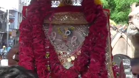 શહેરના સોનીવાડા વિસ્તારમાંથી હરસિદ્ધી માતાના પાટોત્સવ નિમિત્તે ભવ્ય પાલખી યાત્રા નીકળી