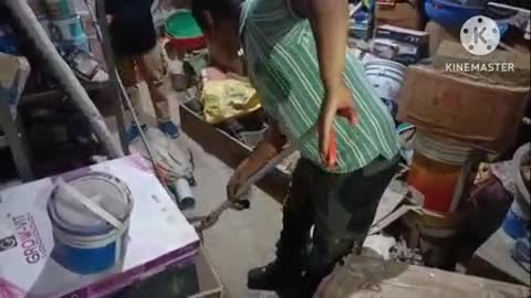 पिथौरागढ़: जाखनी में स्थित हार्डवेयर की दुकान में घुसे सांप को वन विभाग की टीम ने किया रेस्क्यू