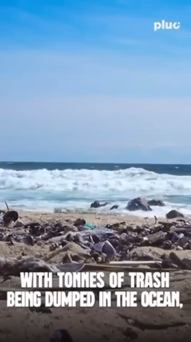 Say No to Plastic: How Plastic Waste Is Killing Oceans & Marine Life – Watch Now on #pluctv🌊🐢