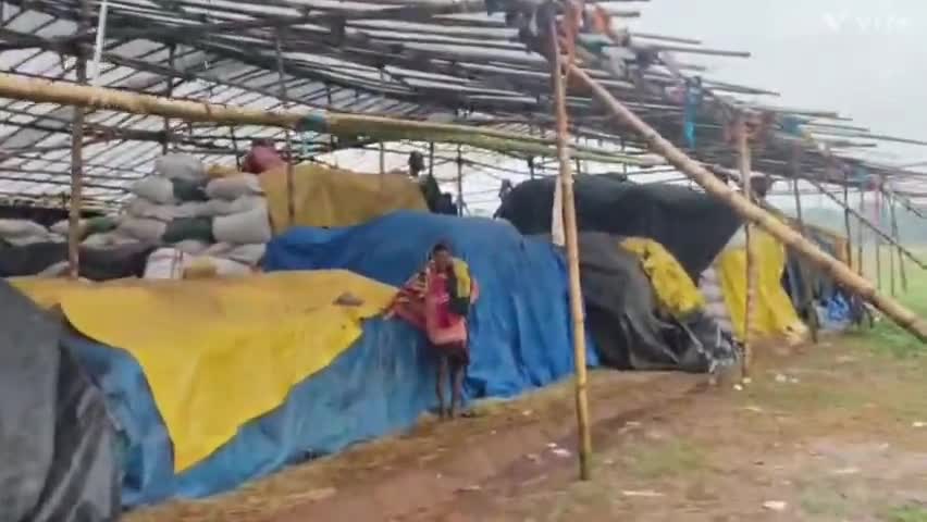କୋଟପାଡ: ଲଗାଣ ବର୍ଷାରେ ଭିଜିଲା ବତାସନା ମଣ୍ଡିରେ ପଡିଥିବା ଶହ ଶହ କ୍ୟୁଣ୍ଟାଲ ଧାନ