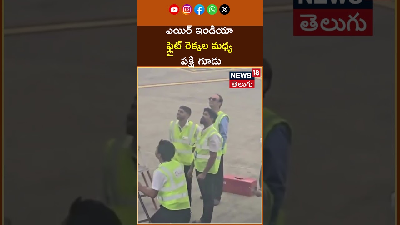 Air India flight from Mumbai to Bangkok found a bird's nest between its wings | ఎయిర్ ఇండియా | N18S