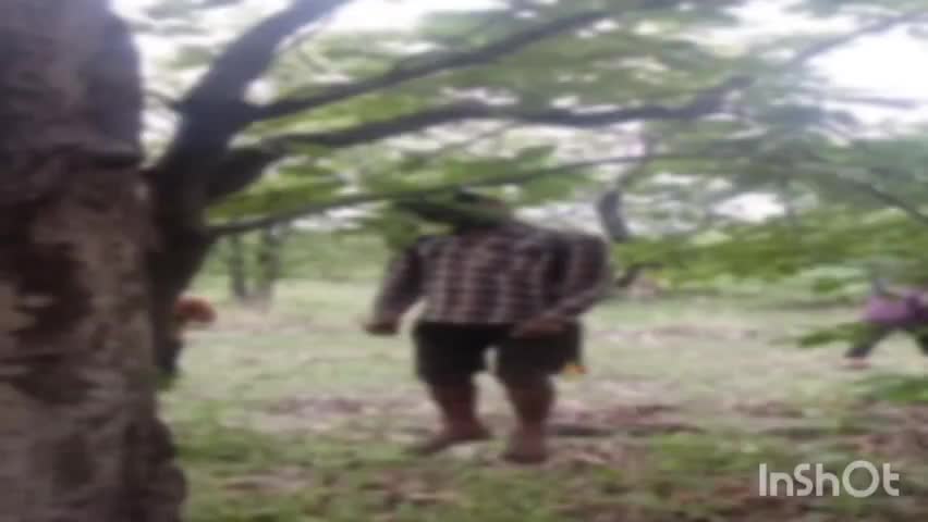करतला: तुमान गांव में युवक ने फांसी लगाकर की आत्महत्या, गांव में पसरा मातम