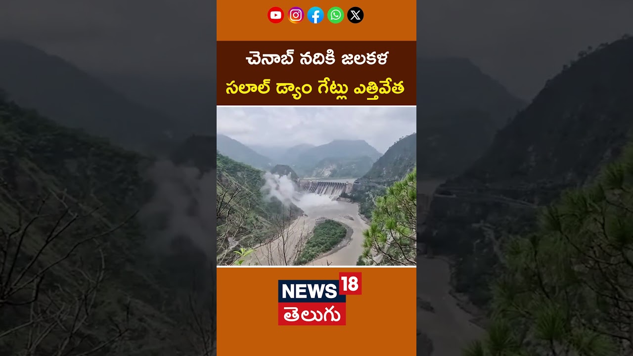 Salal Dam Gates Opened Amid Chenab River| చెనాబ్ నదికి జలకళ ..  సలాల్ డ్యాం గేట్లు ఎత్తివేత #shorts