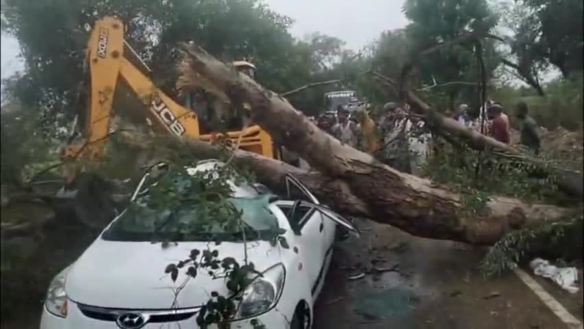 मथुरा: बाटी गांव के समीप बारिश के कारण चलती गाड़ी पर गिरा पेड़, बाल-बाल बचे लोग