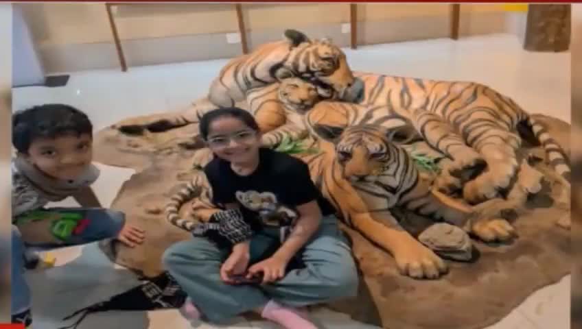 बैहर: मानसून सीजन के मद्देनज़र आगामी 3 माह के लिए बंद हुआ कान्हा नेशनल पार्क, सीजन की अंतिम सफारी पर उमड़ी पर्यटकों की भीड़