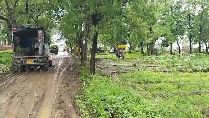 प्रतापगढ़: जिले में हरियाली बढ़ाने के लिए वन विभाग ने तैयार किए 13 लाख 85 हजार 275 पौधे