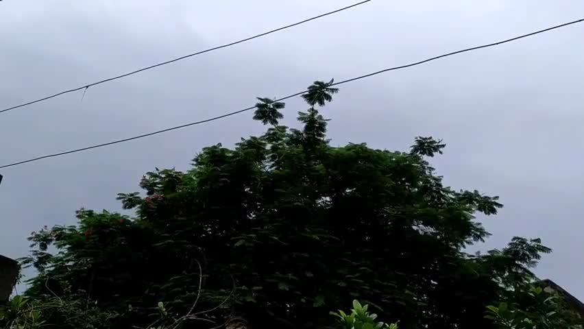 यवतमाळ: जिल्ह्यात ७ आणि ८ जुलै रोजी हवामान विभागाचा येलो अलर्ट