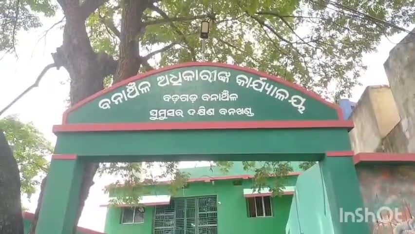 ସୋରଡା: ବ୍ରାହ୍ମଣ ସାହିରେ ରୋଷେଇ ଘରୁ ଏକ ଅଜଗର ସାପ ଉଦ୍ଧାର କଲା ବଡଗଡ ବନ ବିଭାଗ