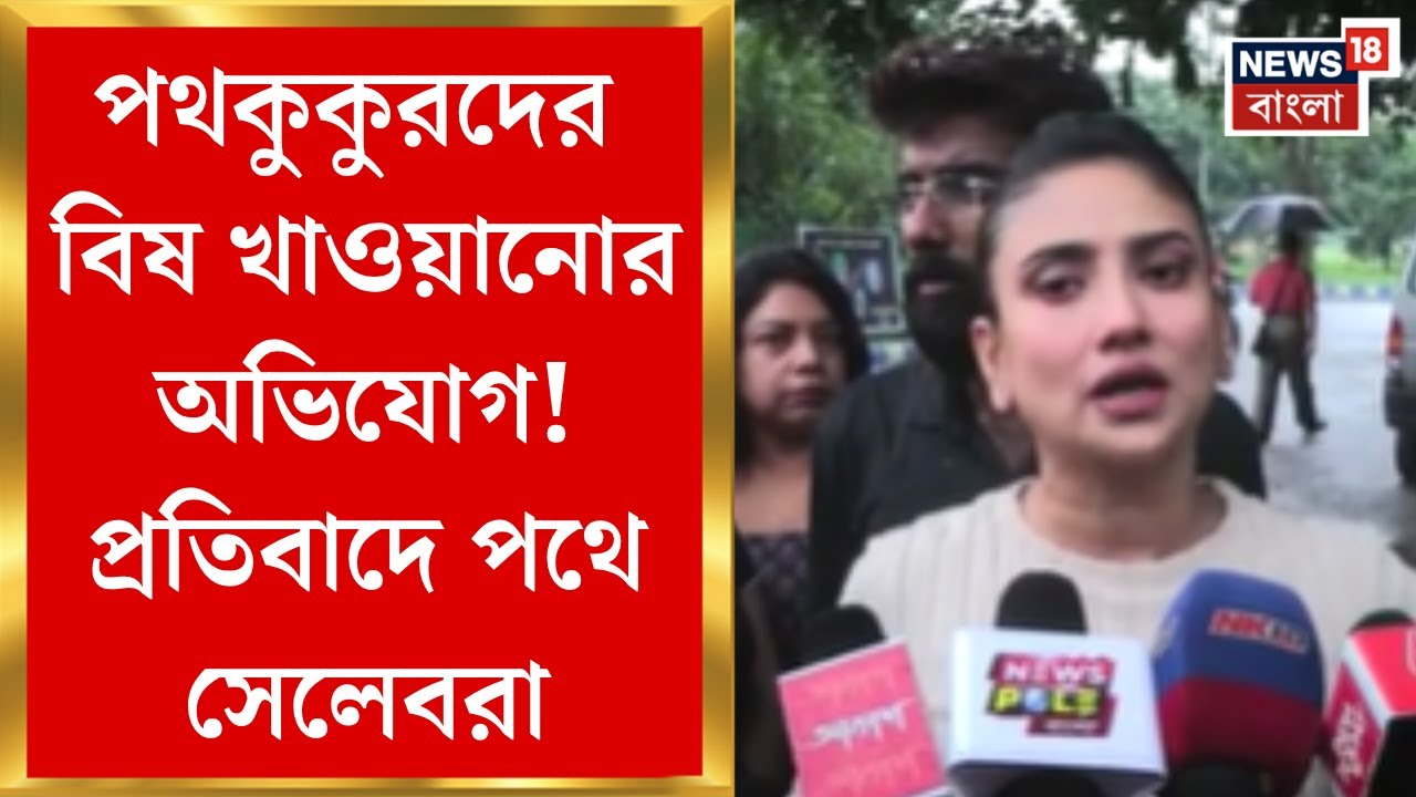 Newtown News : নিউটাউনে পথকুকুরদের বিষ খাওয়ানোর অভিযোগ! প্রতিবাদে পথে সেলেবরা। Bangla News